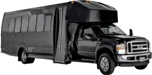 Ford LimoBus Wedding Limousine Transport Service, Holiday Lights, Holiday Window Displays Limo Tour, prom, anniversary, newark international airport